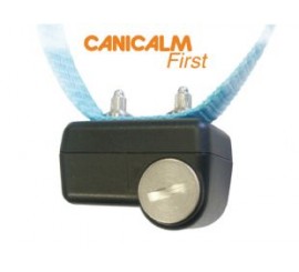 NUM´ AXES CANICALM FIRST
