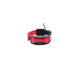 Collar Localizador Perros GPS SportDog Tek 1.0 + Adiestramiento, comprar  Sportdog tek 1.0 adiestramiento