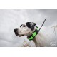 SPORT DOG TEK 1.0 EQUIPO GPS