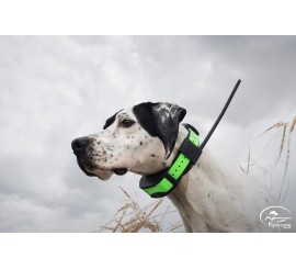 SPORT DOG TEK 1.0 EQUIPO GPS