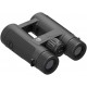 Prismático LEUPOLD BX-T HD - 10x42 MIL-L