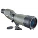 Telescopio BUSHNELL Trophy Xtreme 20-60x65