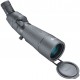 Telescopio BUSHNELL PRIME 20-60x65 - 45°